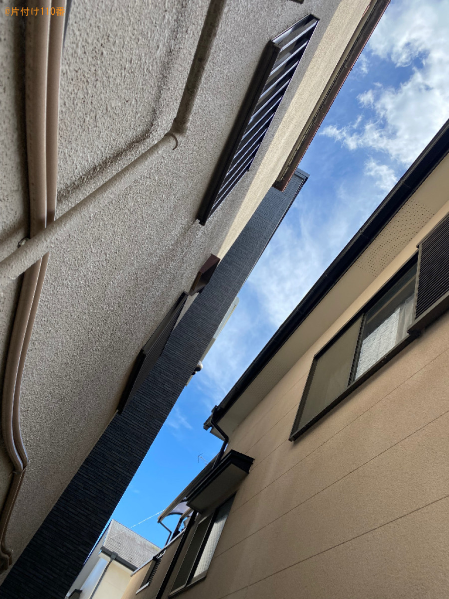 木の剪定作業ご依頼　お客様の声