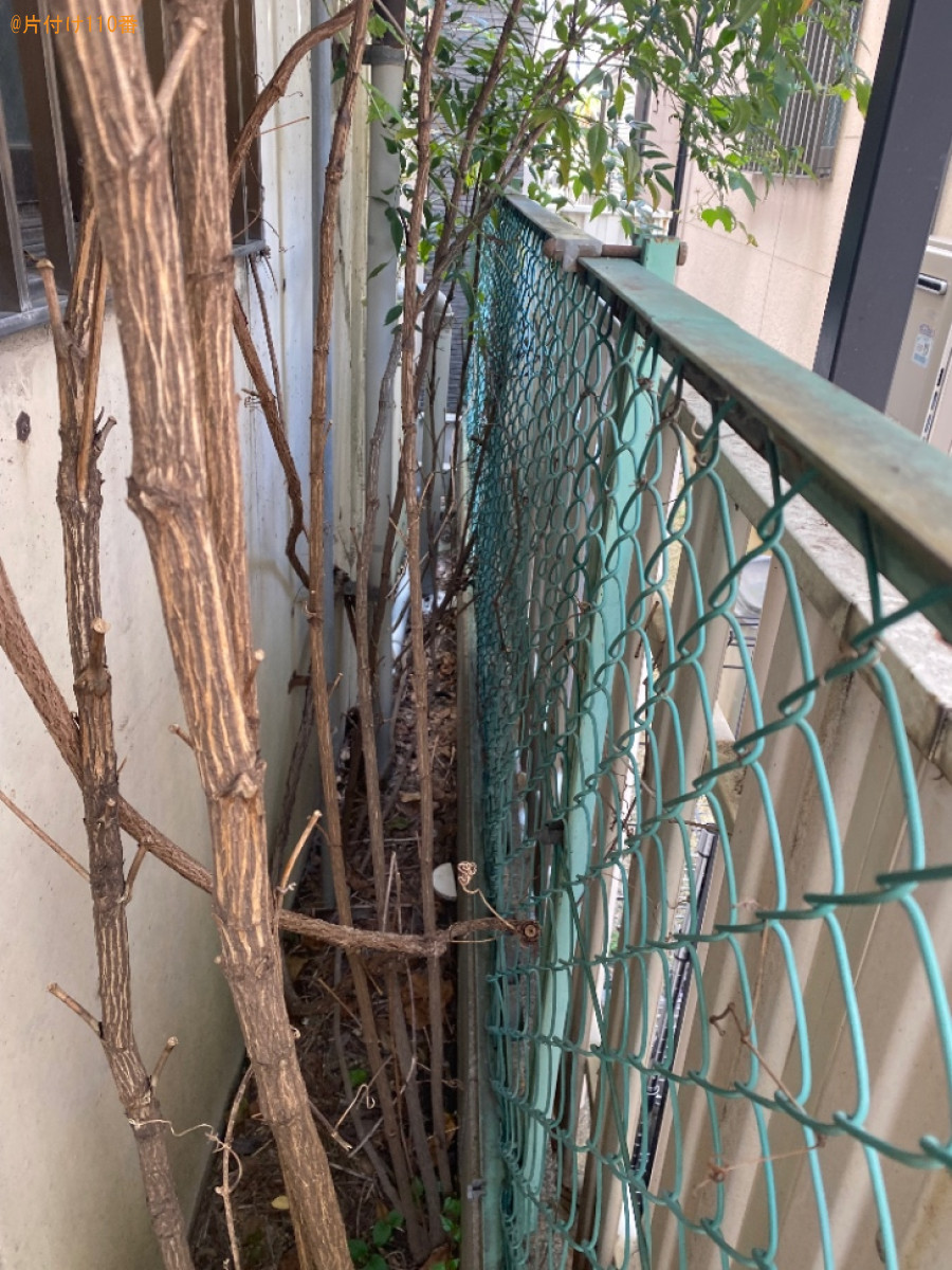木の剪定作業ご依頼　お客様の声