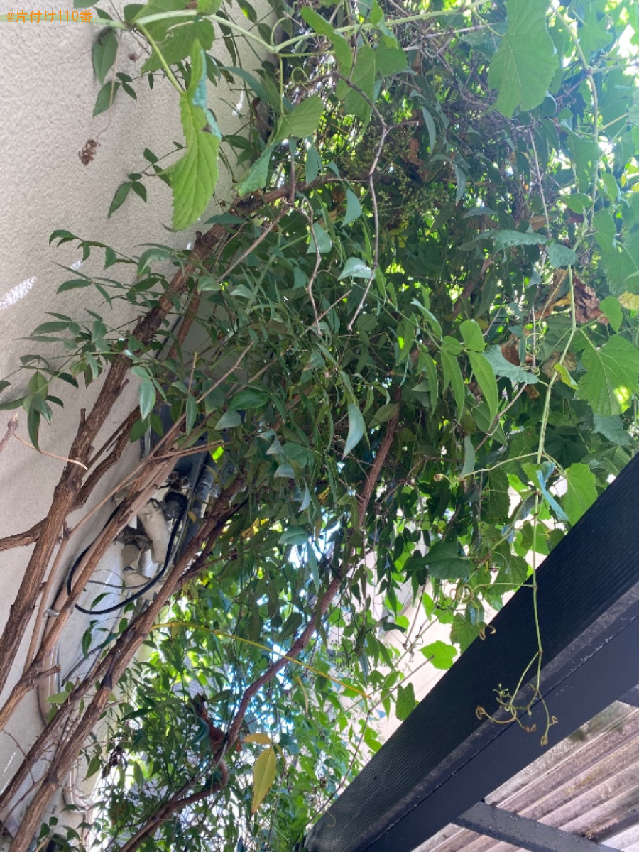木の剪定作業ご依頼　お客様の声